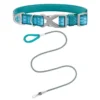 Frisco Outdoor Comfort Print Nylon Padded Collar, Large, Neck: 18 -26-in, Width: 1-in + Outdoor Ultra Reflective Rope Leash With Padded Handle, Bayou Teal, 6 - ft -FRISCO Sales 319068 MAIN. SY630 V1631140607