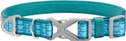 Frisco Outdoor Comfort Print Nylon Padded Collar, Large, Neck: 18 -26-in, Width: 1-in + Outdoor Ultra Reflective Rope Leash With Padded Handle, Bayou Teal, 6 - ft -FRISCO Sales 319068 PT1. SY630 V1631145398