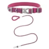 Frisco Outdoor Comfort Print Nylon Padded Collar, Large, Neck: 18 -26-in, Width: 1-in + Outdoor Ultra Reflective Rope Leash With Padded Handle, Boysenberry Purple, 6 - ft -FRISCO Sales 319070 MAIN. SY630 V1631139670