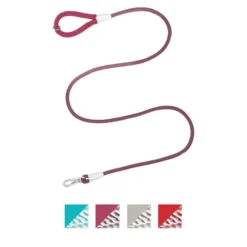 Frisco Outdoor Comfort Print Nylon Padded Collar, Large, Neck: 18 -26-in, Width: 1-in + Outdoor Ultra Reflective Rope Leash With Padded Handle, Boysenberry Purple, 6 - ft -FRISCO Sales 319070 PT5. SY630 V1631142375