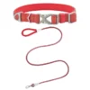 Frisco Outdoor Comfort Print Nylon Padded Collar, Large, Neck: 18 -26-in, Width: 1-in + Outdoor Ultra Reflective Rope Leash With Padded Handle, Sunset Orange, 6 - ft -FRISCO Sales 319074 MAIN. SY630 V1631151095