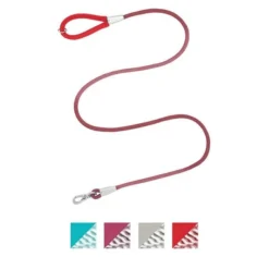 Frisco Outdoor Comfort Print Nylon Padded Collar, Large, Neck: 18 -26-in, Width: 1-in + Outdoor Ultra Reflective Rope Leash With Padded Handle, Sunset Orange, 6 - ft -FRISCO Sales 319074 PT5. SY630 V1631149611