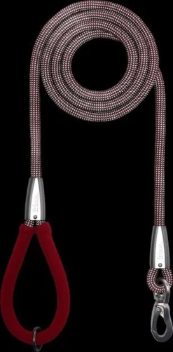 Frisco Outdoor Comfort Print Nylon Padded Collar, Large, Neck: 18 -26-in, Width: 1-in + Outdoor Ultra Reflective Rope Leash With Padded Handle, Sunset Orange, 6 - ft -FRISCO Sales 319074 PT7. SY630 V1631159790