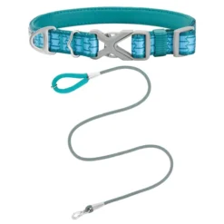 Frisco Outdoor Comfort Print Nylon Padded Collar, Medium - Neck: 14-20-in, Width: 3/4-in + Outdoor Ultra Reflective Rope Leash With Padded Handle, Bayou Teal, 6 - ft