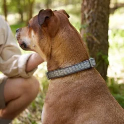 Frisco Outdoor Comfort Print Nylon Padded Collar, Medium - Neck: 14-20-in, Width: 3/4-in + Outdoor Ultra Reflective Rope Leash With Padded Handle, Stone Gray, 6 - ft -FRISCO Sales 319080 PT4. SY630 V1631139979