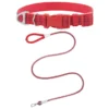 Frisco Outdoor Frisco Nylon Collar, Flamepoint Orange, Small-Neck: 10-14-in, Width: 5/8-in + Rope Leash With Padded Handle, Sunset Orange, 6-ft 2 Frisco Outdoor Frisco Nylon Collar, Flamepoint Orange, Small-Neck: 10-14-in, Width: 5/8-in + Rope Leash With Padded Handle, Sunset Orange, 6-ft -FRISCO Sales 319098 MAIN. SY630 V1631149887