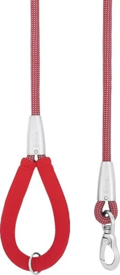 Frisco Outdoor Frisco Nylon Collar, Flamepoint Orange, Small-Neck: 10-14-in, Width: 5/8-in + Rope Leash With Padded Handle, Sunset Orange, 6-ft -FRISCO Sales 319098 PT6. SY630 V1631146002