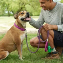 Frisco Outdoor Frisco Nylon Collar, Shadow Purple, Extra Small, Neck: 8-12-in, Width: 5/8th -in + Rope Leash With Padded Handle, Boysenberry Purple, 6-ft -FRISCO Sales 319108 PT8. SY630 V1631139086