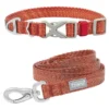 Frisco Outdoor Heathered Nylon Collar, Flamepoint Orange, Large, Neck: 18 -26-in, Width: 1-in + Dog Leash, Flamepoint Orange, Large - Length: 6-ft, Width: 1-in -FRISCO Sales 319118 MAIN. SY630 V1631150501