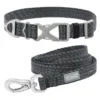 Frisco Outdoor Heathered Nylon Collar, Midnight Black, XS, Neck: 8-12-in, Width: 5/8th -in + Dog Leash, Midnight Black, SM - Length: 6-ft, Width: 5/8-in -FRISCO Sales 319130 MAIN. SY630 V1631155891