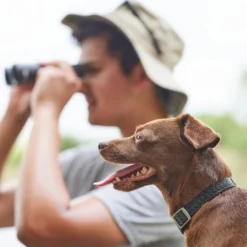 Frisco Outdoor Heathered Nylon Collar, Midnight Black, XS, Neck: 8-12-in, Width: 5/8th -in + Dog Leash, Midnight Black, SM - Length: 6-ft, Width: 5/8-in 14 Frisco Outdoor Heathered Nylon Collar, Midnight Black, XS, Neck: 8-12-in, Width: 5/8th -in + Dog Leash, Midnight Black, SM - Length: 6-ft, Width: 5/8-in -FRISCO Sales 319130 PT4. SY630 V1631146590