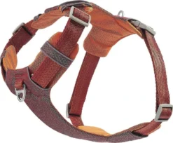 Frisco Outdoor Lightweight Ripstop Nylon Harness, Flamepoint Orange, Extra Large, Neck: 22 to 34-in, Girth: 32 to 44-in + Heathered Dog Leash, Flamepoint Orange, Large - Length: 6-ft, Width: 1-in 16 Frisco Outdoor Lightweight Ripstop Nylon Harness, Flamepoint Orange, Extra Large, Neck: 22 to 34-in, Girth: 32 to 44-in + Heathered Dog Leash, Flamepoint Orange, Large - Length: 6-ft, Width: 1-in -FRISCO Sales 319148 PT5. SY630 V1631140594