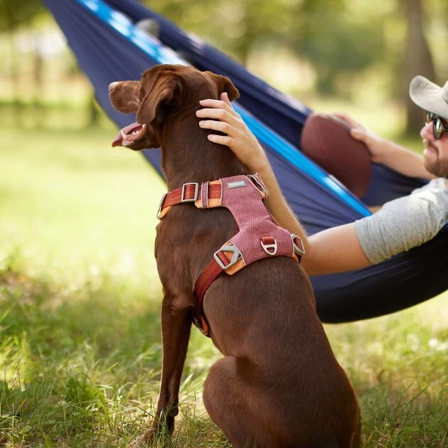 Frisco Outdoor Lightweight Ripstop Nylon Harness, Flamepoint Orange, Large, Neck: 18 to 28-in, Girth 24 to 34-in + Heathered Dog Leash, Flamepoint Orange, Large - Length: 6-ft, Width: 1-in 7 Frisco Outdoor Lightweight Ripstop Nylon Harness, Flamepoint Orange, Large, Neck: 18 to 28-in, Girth 24 to 34-in + Heathered Dog Leash, Flamepoint Orange, Large - Length: 6-ft, Width: 1-in - Image 5