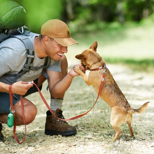 Frisco Outdoor Lightweight Ripstop Nylon Harness, Flamepoint Orange, Large, Neck: 18 to 28-in, Girth 24 to 34-in + Heathered Dog Leash, Flamepoint Orange, Large - Length: 6-ft, Width: 1-in 11 Frisco Outdoor Lightweight Ripstop Nylon Harness, Flamepoint Orange, Large, Neck: 18 to 28-in, Girth 24 to 34-in + Heathered Dog Leash, Flamepoint Orange, Large - Length: 6-ft, Width: 1-in - Image 9