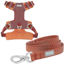 Frisco Outdoor Lightweight Ripstop Nylon Harness, Flamepoint Orange, Small, Neck: 13 to 19-in, Girth: 16 to 22-in + Heathered Dog Leash, Flamepoint Orange, Small - Length: 6-ft, Width: 5/8-in