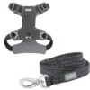 Frisco Outdoor Lightweight Ripstop Nylon Harness, Storm Gray, Extra Large, Neck: 22 to 34-in, Girth: 32 to 44-in + Heathered Dog Leash, Midnight Black, LG - Length: 6-ft, Width: 1-in -FRISCO Sales 319196 MAIN. SY630 V1631151688