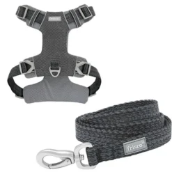 Frisco Outdoor Lightweight Ripstop Nylon Harness, Storm Gray, Extra Large, Neck: 22 to 34-in, Girth: 32 to 44-in + Heathered Dog Leash, Midnight Black, LG - Length: 6-ft, Width: 1-in