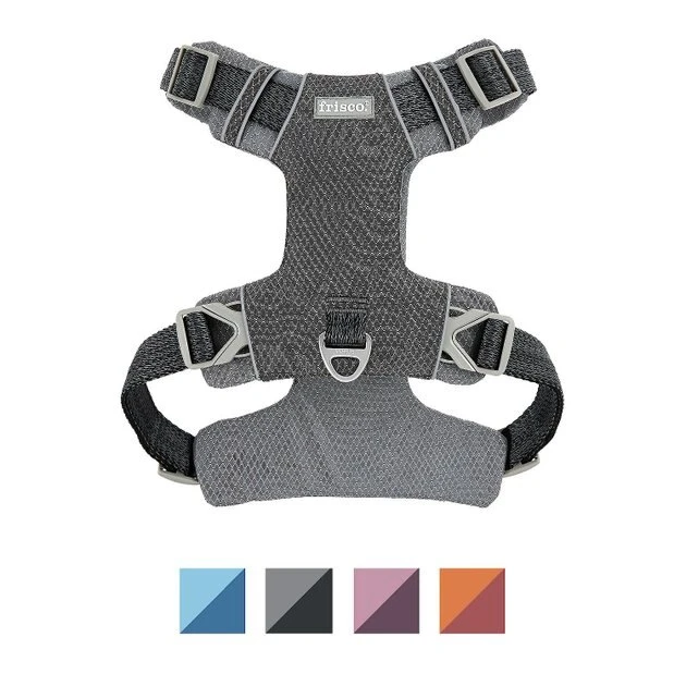 Frisco Outdoor Lightweight Ripstop Nylon Harness, Storm Gray, Extra Large, Neck: 22 to 34-in, Girth: 32 to 44-in + Heathered Dog Leash, Midnight Black, LG - Length: 6-ft, Width: 1-in 4 Frisco Outdoor Lightweight Ripstop Nylon Harness, Storm Gray, Extra Large, Neck: 22 to 34-in, Girth: 32 to 44-in + Heathered Dog Leash, Midnight Black, LG - Length: 6-ft, Width: 1-in - Image 2