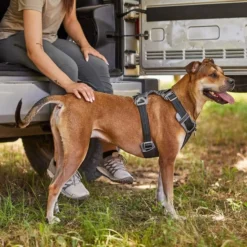 Frisco Outdoor Lightweight Ripstop Nylon Harness, Storm Gray, Extra Large, Neck: 22 to 34-in, Girth: 32 to 44-in + Heathered Dog Leash, Midnight Black, LG - Length: 6-ft, Width: 1-in 16 Frisco Outdoor Lightweight Ripstop Nylon Harness, Storm Gray, Extra Large, Neck: 22 to 34-in, Girth: 32 to 44-in + Heathered Dog Leash, Midnight Black, LG - Length: 6-ft, Width: 1-in -FRISCO Sales 319196 PT5. SY630 V1631152871