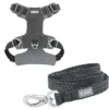 Frisco Outdoor Lightweight Ripstop Nylon Harness, Storm Gray, Large, Neck: 18 to 28-in, Girth 24 to 34-in + Heathered Dog Leash, Midnight Black, LG - Length: 6-ft, Width: 1-in