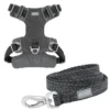 Frisco Outdoor Lightweight Ripstop Nylon Harness, Storm Gray, Small, Neck: 13 to 19-in, Girth: 16 to 22-in + Heathered Dog Leash, Midnight Black, SM - Length: 6-ft, Width: 5/8-in -FRISCO Sales 319208 MAIN. SY630 V1631150492