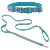 Frisco Outdoor Nylon Reflective Comfort Padded Collar, Bayou Teal, Extra Small, Neck: 8-12-in, Width: 5/8th-in + Dog Leash, Bayou Teal, Small - Length: 6-ft, Width: 5/8-in 1 Frisco Outdoor Nylon Reflective Comfort Padded Collar, Bayou Teal, Extra Small, Neck: 8-12-in, Width: 5/8th-in + Dog Leash, Bayou Teal, Small - Length: 6-ft, Width: 5/8-in -FRISCO Sales 319212 MAIN. SY630 V1631140273