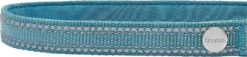 Frisco Outdoor Nylon Reflective Comfort Padded Collar, Bayou Teal, Extra Small, Neck: 8-12-in, Width: 5/8th-in + Dog Leash, Bayou Teal, Small - Length: 6-ft, Width: 5/8-in -FRISCO Sales 319212 PT2. SY630 V1631138205