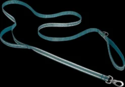Frisco Outdoor Nylon Reflective Comfort Padded Collar, Bayou Teal, Extra Small, Neck: 8-12-in, Width: 5/8th-in + Dog Leash, Bayou Teal, Small - Length: 6-ft, Width: 5/8-in -FRISCO Sales 319212 PT7. SY630 V1631153489