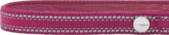 Frisco Outdoor Nylon Reflective Comfort Padded Collar, Boysenberry Purple, Extra Small, Neck: 8-12-in, Width: 5/8th -in + Dog Leash, Boysenberry Purple, Small - Length: 6-ft, Width: 5/8-in -FRISCO Sales 319220 PT2. SY630 V1631154092