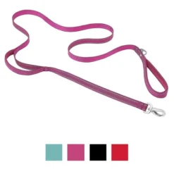 Frisco Outdoor Nylon Reflective Comfort Padded Collar, Boysenberry Purple, Extra Small, Neck: 8-12-in, Width: 5/8th -in + Dog Leash, Boysenberry Purple, Small - Length: 6-ft, Width: 5/8-in -FRISCO Sales 319220 PT5. SY630 V1631155595