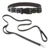 Frisco Outdoor Nylon Reflective Comfort Padded Collar, Midnight Black, MD - Neck: 14-20-in, Width: 3/4-in + Dog Leash, Midnight Black, MD - Length: 6-ft, Width: 3/4-in -FRISCO Sales 319230 MAIN. SY630 V1631154738