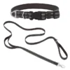 Frisco Outdoor Nylon Reflective Comfort Padded Collar, Midnight Black, XS, Neck: 8-12-in, Width: 5/8th -in + Dog Leash, Midnight Black, SM - Length: 6-ft, Width: 5/8-in -FRISCO Sales 319234 MAIN. SY630 V1631145076