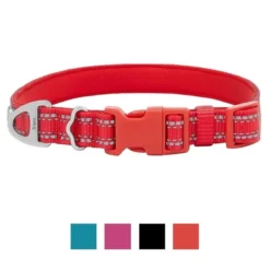 Frisco Outdoor Nylon Reflective Comfort Padded Collar, Sunset Orange, Large, Neck: 18 -26-in, Width: 1-in + Dog Leash, Sunset Orange, Large - Length: 6-ft, Width: 1-in -FRISCO Sales 319238 PT1. SY630 V1631159177