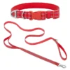 Frisco Outdoor Nylon Reflective Comfort Padded Collar, Sunset Orange, Medium - Neck: 14-20-in, Width: 3/4-in + Dog Leash, Sunset Orange, Medium - Length: 6-ft, Width: 3/4-in -FRISCO Sales 319240 MAIN. SY630 V1631152590