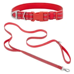 Frisco Outdoor Nylon Reflective Comfort Padded Collar, Sunset Orange, Medium - Neck: 14-20-in, Width: 3/4-in + Dog Leash, Sunset Orange, Medium - Length: 6-ft, Width: 3/4-in
