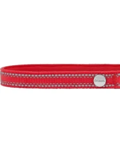 Frisco Outdoor Nylon Reflective Comfort Padded Collar, Sunset Orange, Medium - Neck: 14-20-in, Width: 3/4-in + Dog Leash, Sunset Orange, Medium - Length: 6-ft, Width: 3/4-in -FRISCO Sales 319240 PT2. SY630 V1631146880