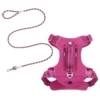 Frisco Outdoor Premium Ripstop Nylon Harness with Pocket, Boysenberry Purple, Extra Large, Neck: 22 to 34-in, Girth: 32 to 44-in + Waterproof Stinkproof PVC Rope Leash, Shadow Purple, 6 Ft. -FRISCO Sales 319272 MAIN. SY630 V1631206296