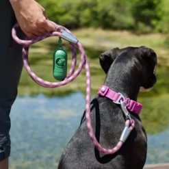 Frisco Outdoor Premium Ripstop Nylon Harness with Pocket, Boysenberry Purple, Extra Large, Neck: 22 to 34-in, Girth: 32 to 44-in + Waterproof Stinkproof PVC Rope Leash, Shadow Purple, 6 Ft. -FRISCO Sales 319272 PT8. SY630 V1631206273