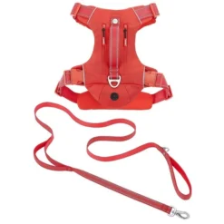 Frisco Outdoor Premium Ripstop Nylon Harness with Pocket, Sunset Orange, Extra Large, Neck: 22 to 34-in, Girth: 32 to 44-in + Reflective Comfort Padded Dog Leash, Sunset Orange, Large - Length: 6-ft, Width: 1-in