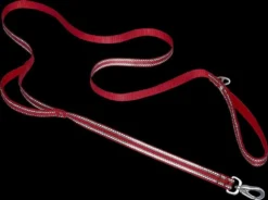 Frisco Outdoor Premium Ripstop Nylon Harness with Pocket, Sunset Orange, Large, Neck: 18 to 28-in, Girth 24 to 34-in + Reflective Comfort Padded Dog Leash, Sunset Orange, Large - Length: 6-ft, Width: 1-in -FRISCO Sales 319316 PT7. SY630 V1631150488