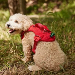 Frisco Outdoor Premium Ripstop Nylon Harness with Pocket, Sunset Orange, Medium, Neck: 15 to 23-in, Girth, 20 to 28-in + Waterproof Stinkproof PVC Rope Leash, Sunset Orange, 6 Ft. -FRISCO Sales 319324 PT4. SY630 V1630623686