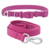 Frisco Outdoor Solid Textured Waterproof Stink Proof PVC Collar, Boysenberry Purple, Small - Neck: 10½14-in, Width: 5/8-in + Dog Leash, Boysenberry Purple, Small - Length: 6-ft, Width: 5/8-in