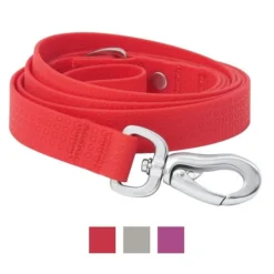Frisco Outdoor Solid Textured Waterproof Stink Proof PVC Collar, Flamepoint Orange, Medium - Neck: 14½20-in, Width: 3/4-in + Dog Leash, Sunset Orange, Medium - Length: 6-ft, Width: 3/4-in -FRISCO Sales 319344 PT5. SY630 V1631157092