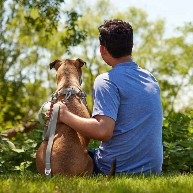 Frisco Outdoor Solid Textured Waterproof Stink Proof PVC Collar, Storm Gray, Extra Small - Neck: 8-12-in, Width: 5/8th-in + Dog Leash, Storm Gray, Small - Length: 6-ft, Width: 5/8-in 10 Frisco Outdoor Solid Textured Waterproof Stink Proof PVC Collar, Storm Gray, Extra Small - Neck: 8-12-in, Width: 5/8th-in + Dog Leash, Storm Gray, Small - Length: 6-ft, Width: 5/8-in - Image 8