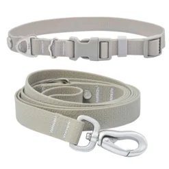Frisco Outdoor Solid Textured Waterproof Stink Proof PVC Collar, Storm Gray, Medium - Neck: 14½20-in, Width: 3/4-in + Dog Leash, Storm Gray, Medium - Length: 6-ft, Width: 3/4-in