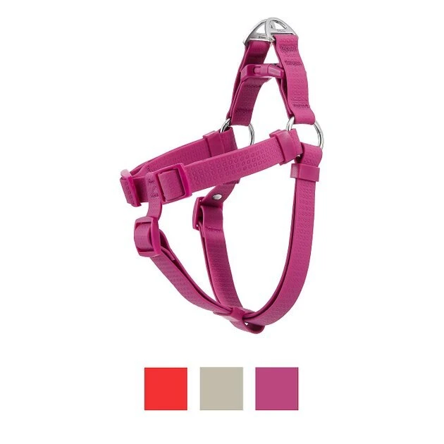 Frisco Outdoor Solid Textured Waterproof Stink Proof PVC Harness, Boysenberry Purple, Large, Neck: 19 to 27-in, Girth: 23 to 36-in + Dog Leash, Boysenberry Purple, Large - Length: 6-ft, Width: 1-in 4 Frisco Outdoor Solid Textured Waterproof Stink Proof PVC Harness, Boysenberry Purple, Large, Neck: 19 to 27-in, Girth: 23 to 36-in + Dog Leash, Boysenberry Purple, Large - Length: 6-ft, Width: 1-in - Image 2