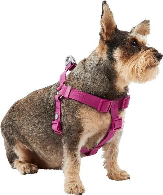 Frisco Outdoor Solid Textured Waterproof Stink Proof PVC Harness, Boysenberry Purple, Large, Neck: 19 to 27-in, Girth: 23 to 36-in + Dog Leash, Boysenberry Purple, Large - Length: 6-ft, Width: 1-in 5 Frisco Outdoor Solid Textured Waterproof Stink Proof PVC Harness, Boysenberry Purple, Large, Neck: 19 to 27-in, Girth: 23 to 36-in + Dog Leash, Boysenberry Purple, Large - Length: 6-ft, Width: 1-in - Image 3