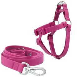Frisco Outdoor Solid Textured Waterproof Stink Proof PVC Harness, Boysenberry Purple, Medium, Neck: 16 to 22-in, Girth: 19 to 29-in + Dog Leash, Boysenberry Purple, Medium - Length: 6-ft, Width: 3/4-in