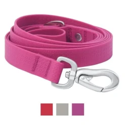 Frisco Outdoor Solid Textured Waterproof Stink Proof PVC Harness, Boysenberry Purple, Medium, Neck: 16 to 22-in, Girth: 19 to 29-in + Dog Leash, Boysenberry Purple, Medium - Length: 6-ft, Width: 3/4-in -FRISCO Sales 319358 PT5. SY630 V1631146286