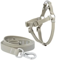 Frisco Outdoor Solid Textured Waterproof Stink Proof PVC Harness, Storm Gray, Medium, Neck: 16 to 22-in, Girth: 19 to 29-in + Dog Leash, Storm Gray, Medium - Length: 6-ft, Width: 3/4-in